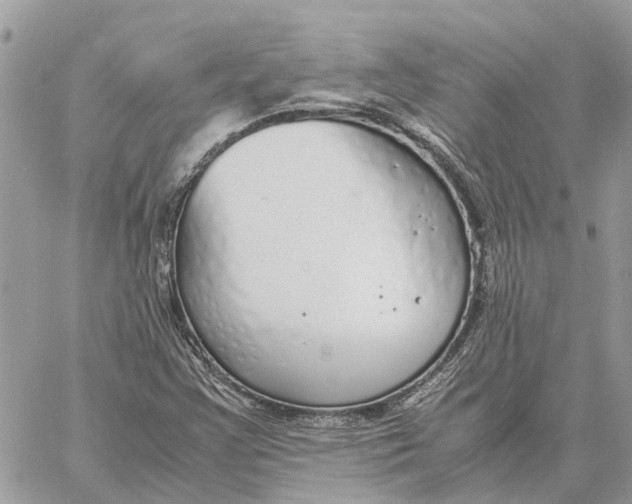 X0000060261355200511181343