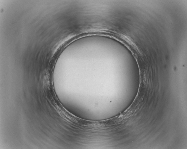 X0000060261356200511181343