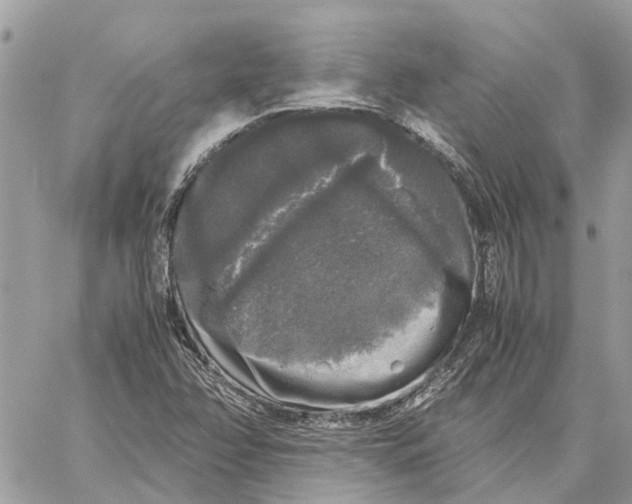 X0000060261358200511181343