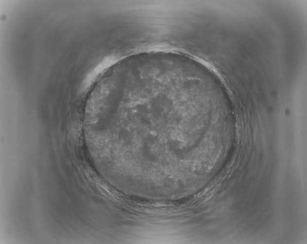 X0000060261359200511181343