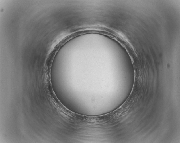 X0000060261360200511181343