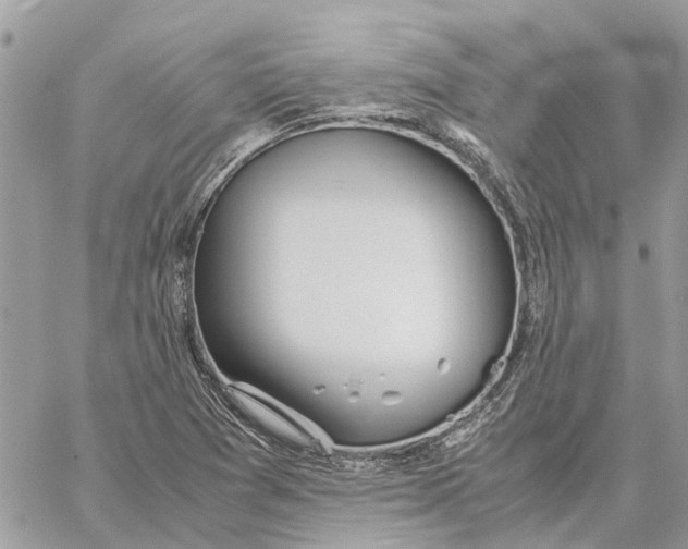 X0000060261361200511181343