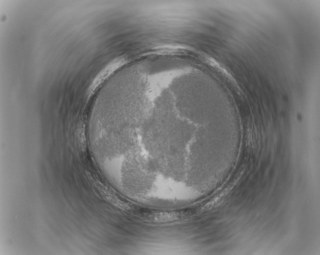 X0000060261362200511181343