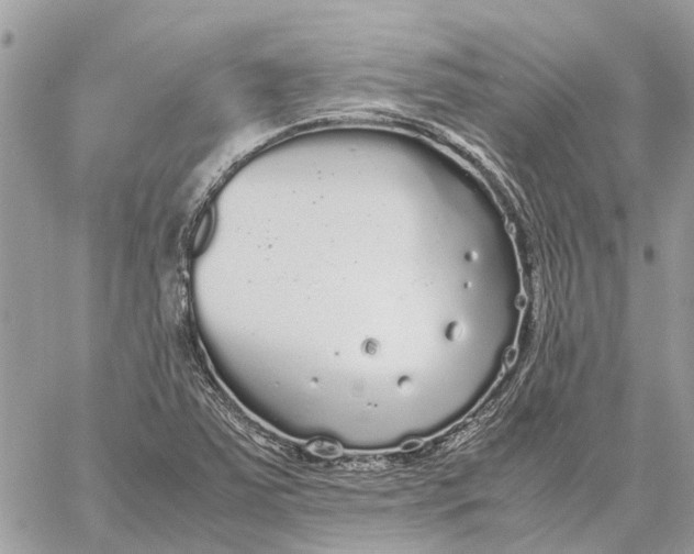 X0000060261363200511181343