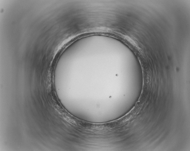 X0000060261364200511181343