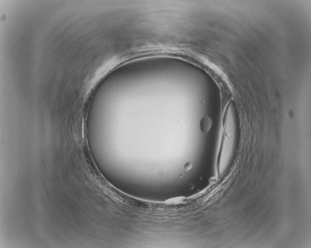 X0000060261365200511181343