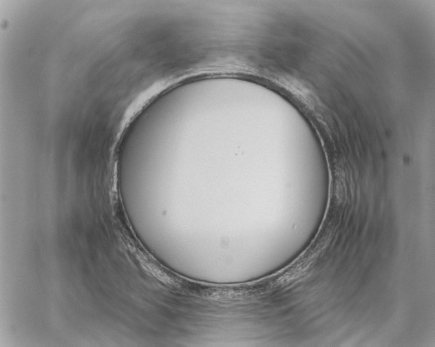 X0000060261366200511181343