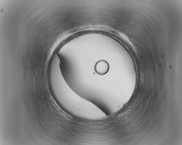 X0000060261368200511181343