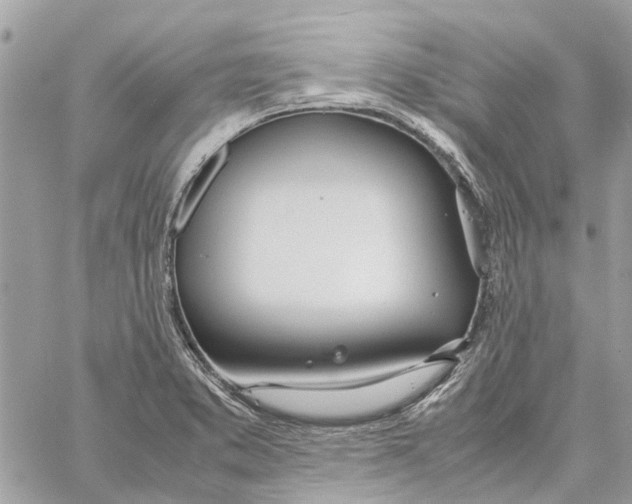 X0000060261373200511181343