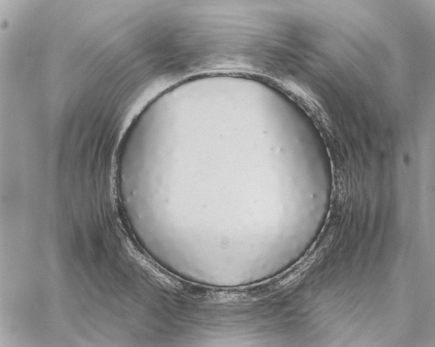 X0000060261374200511181343