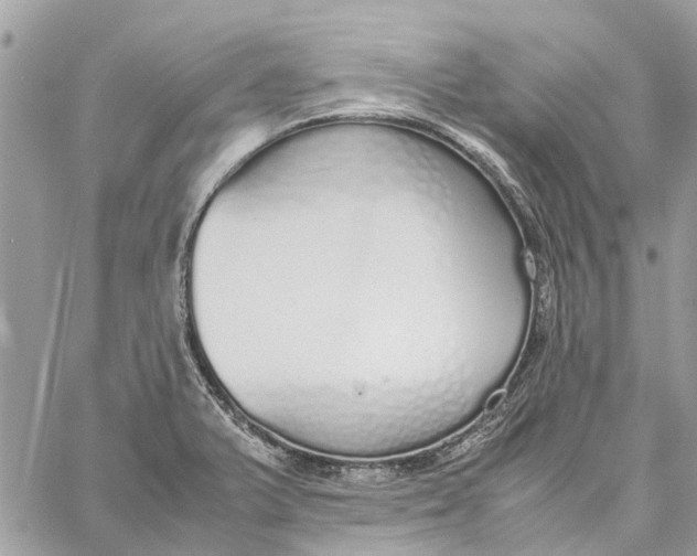 X0000060261375200511181343