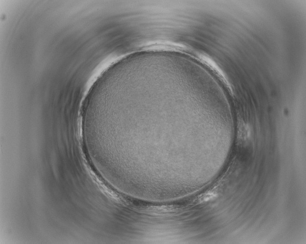 X0000060261376200511181343