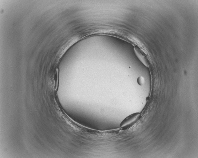 X0000060261377200511181343