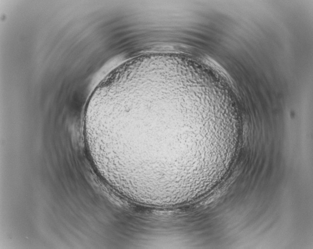 X0000060261378200511181343