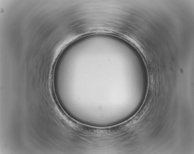 X0000060261379200511181343