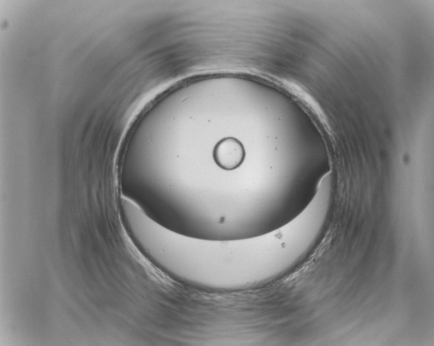 X0000060261380200511181343