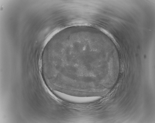 X0000060261383200511181343