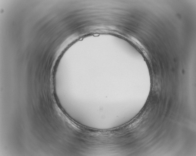 X0000060261384200511181343