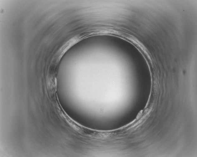 X0000060261385200511181343