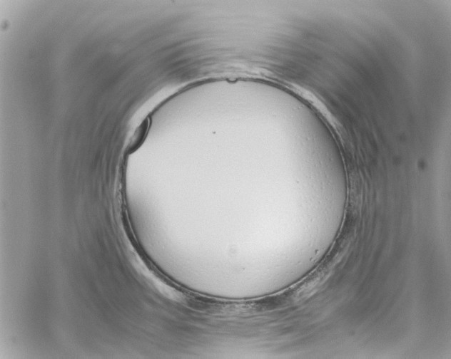 X0000060261387200511181343