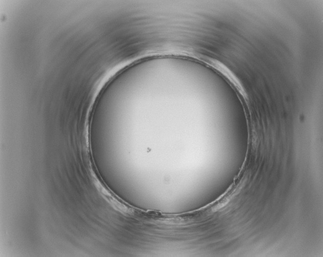 X0000060261388200511181343