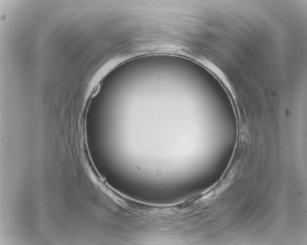 X0000060261389200511181343