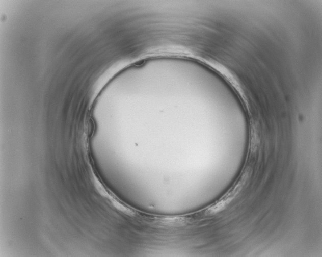 X0000060261390200511181343