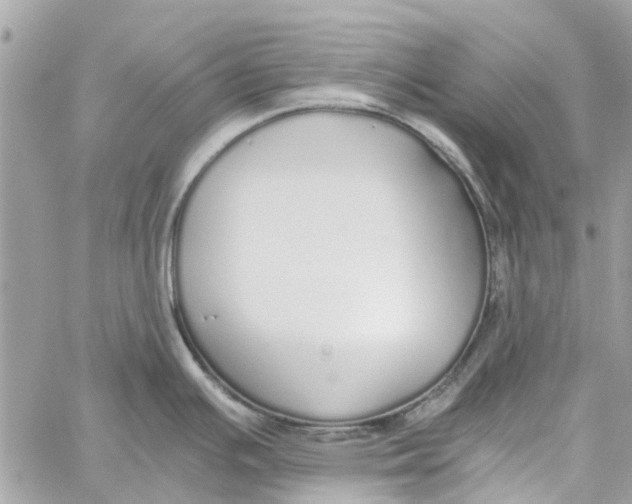 X0000060261391200511181343