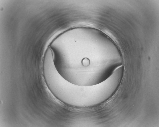 X0000060261392200511181343