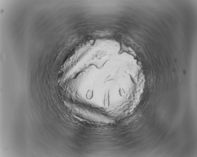 X0000060261393200511181342