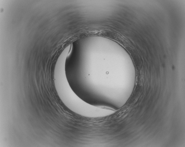 X0000060261394200511181342