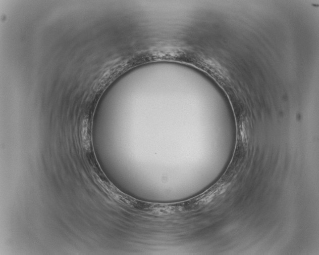 X0000060261396200511181342