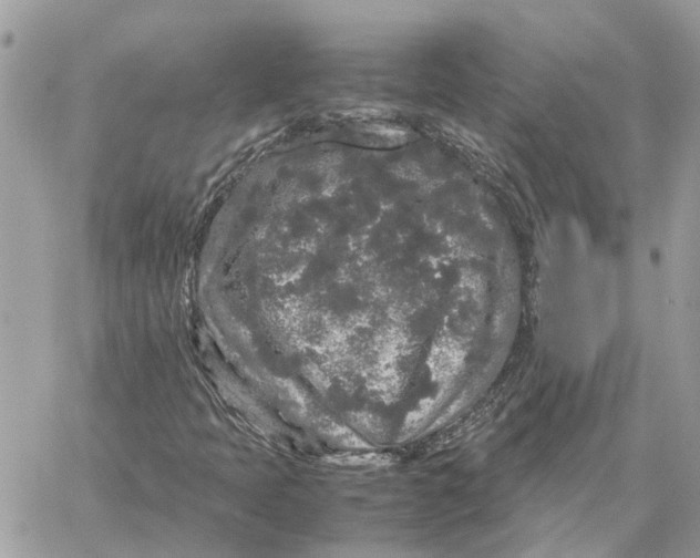 X0000060261397200511181342