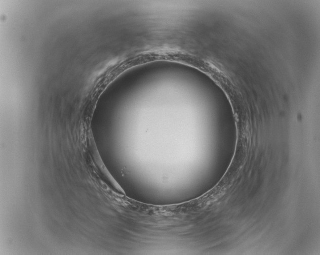 X0000060261398200511181342