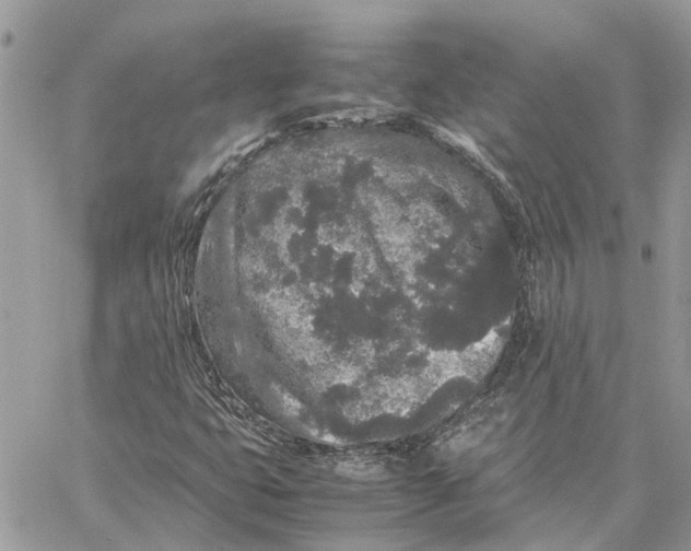 X0000060261399200511181342