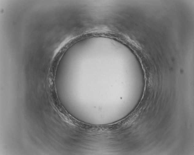 X0000060261400200511181342