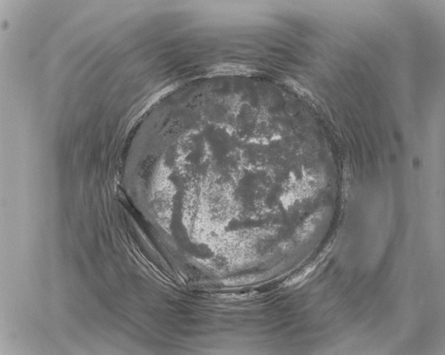 X0000060261401200511181342