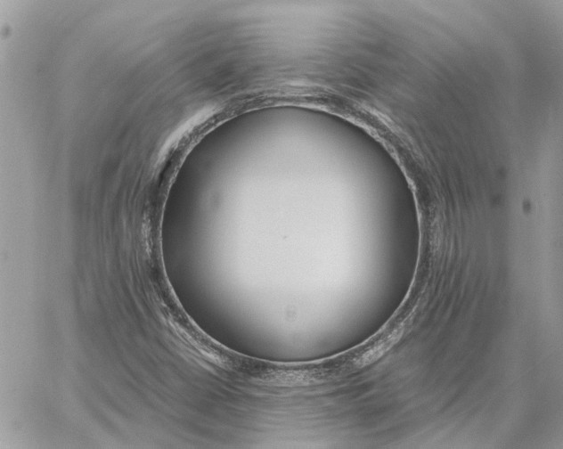 X0000060261402200511181342