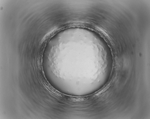 X0000060261403200511181342