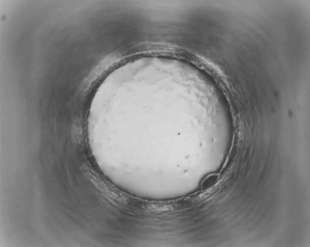 X0000060261407200511181342