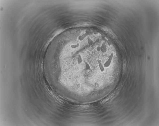 X0000060261409200511181342