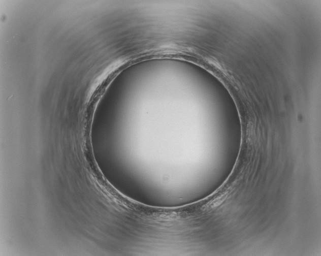 X0000060261410200511181342