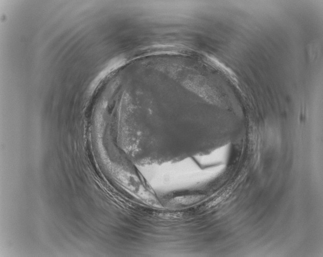 X0000060261411200511181342