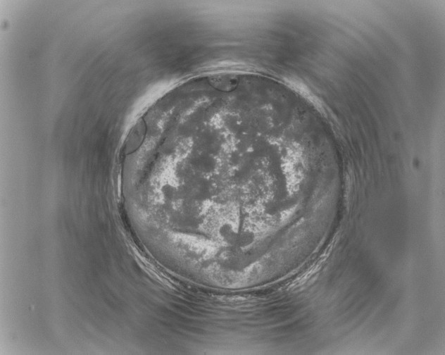 X0000060261413200511181342