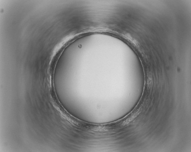 X0000060261414200511181342