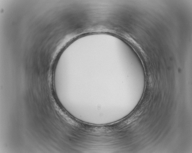 X0000060261416200511181342