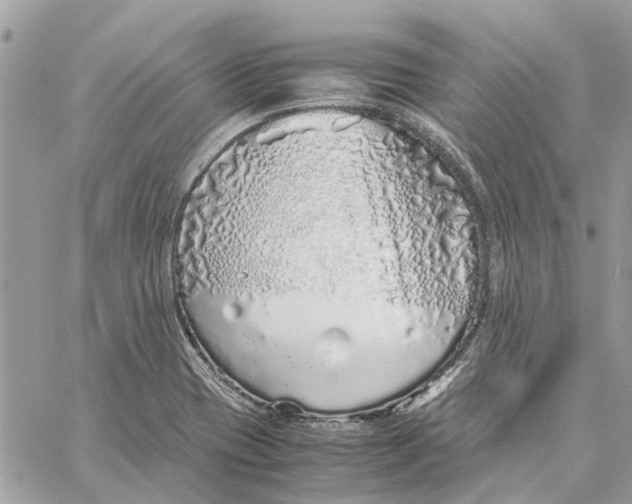 X0000060261417200511181343