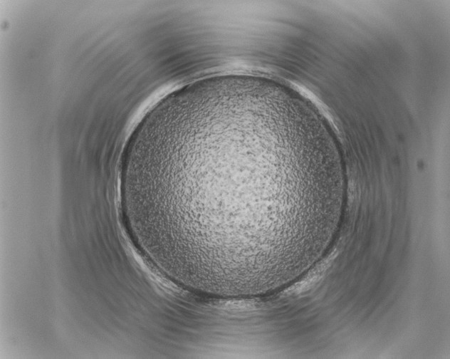 X0000060261418200511181343