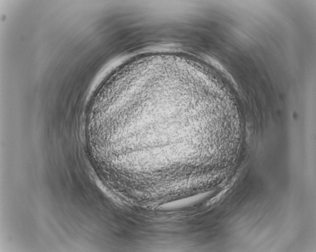 X0000060261421200511181343