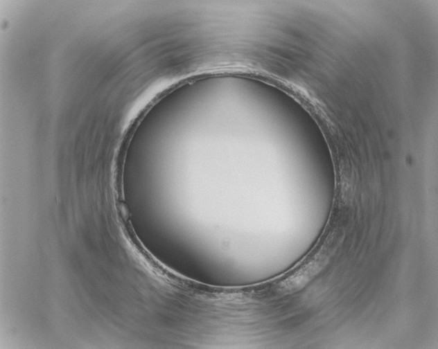 X0000060261422200511181343